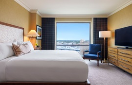 Grand Executive Suite